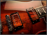 Zerberus Morpheus Cinnamon Burst custom electric guitar humbucker pickup detail